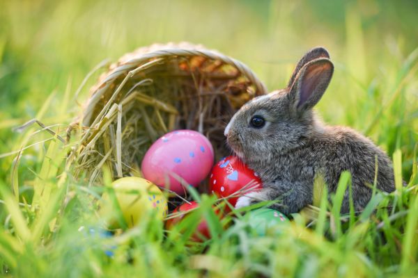 Ostern Im Naturpark Nordschwarzwald