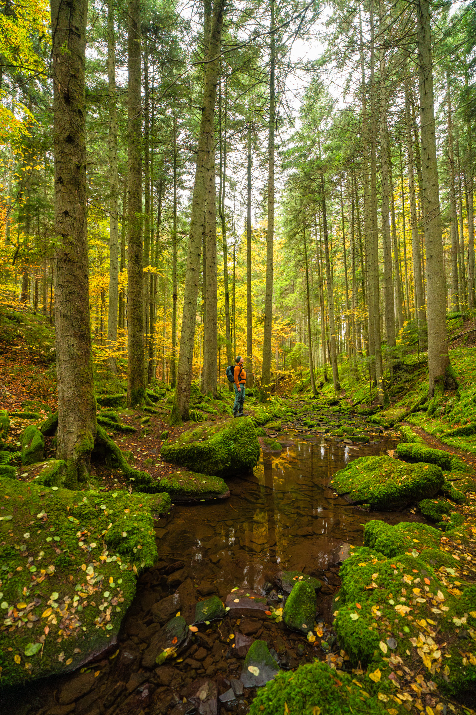 Das Mönchs Waldhotel Bietet Ihnen Eine Aktive Freizeitgestaltung